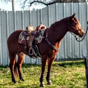 Meet your Posher, Carol